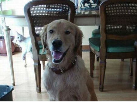 શું થાય જ્યારે ફોટો પડાવતી વખતે કોઇ વચ્ચે આવી જાય?