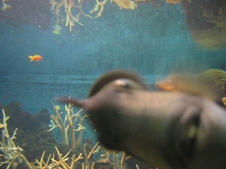 શું થાય જ્યારે ફોટો પડાવતી વખતે કોઇ વચ્ચે આવી જાય?