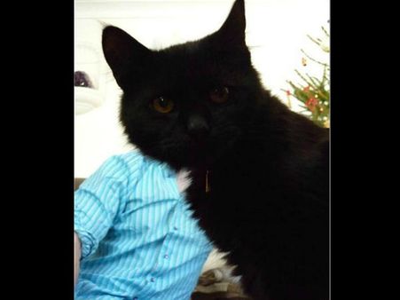 શું થાય જ્યારે ફોટો પડાવતી વખતે કોઇ વચ્ચે આવી જાય?