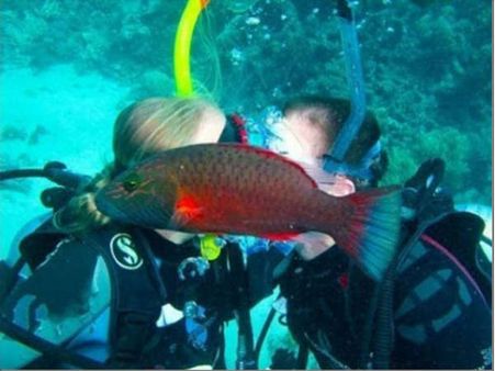 શું થાય જ્યારે ફોટો પડાવતી વખતે કોઇ વચ્ચે આવી જાય?