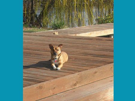 શું થાય જ્યારે ફોટો પડાવતી વખતે કોઇ વચ્ચે આવી જાય?