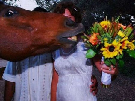 શું થાય જ્યારે ફોટો પડાવતી વખતે કોઇ વચ્ચે આવી જાય?