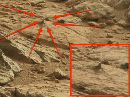 મોતી રંગનું ફૂલ મંગળ ગ્રહ પર મળી આવ્યું