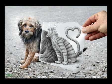 કેમરાની તસવીરોમાં અદભૂત પેન્સિલ સ્કેચનો કમાલ!