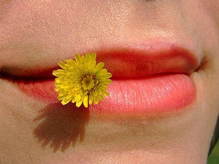 બંને હોટ