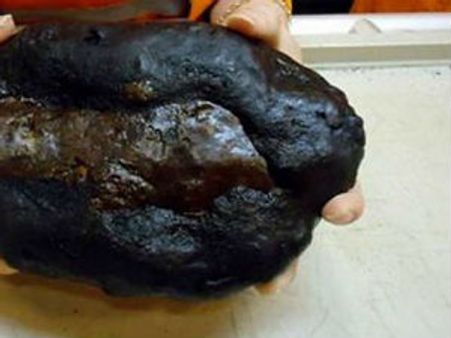 એટ્લાન્ટિક મહાસાગરમાં પ્રાચીન મહાદ્વિપ હોવાના સંકેત