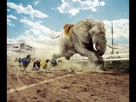 જૂઓ ફોટો એડિટિંગનો કમાલ