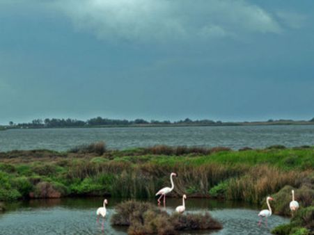 Photo : વિશ્વના 50 બેસ્ટ બીચ Photo : વિશ્વના 50 બેસ્ટ બીચ