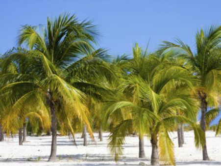 Photo : વિશ્વના 50 બેસ્ટ બીચ Photo : વિશ્વના 50 બેસ્ટ બીચ