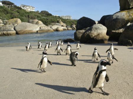 Photo : વિશ્વના 50 બેસ્ટ બીચ Photo : વિશ્વના 50 બેસ્ટ બીચ