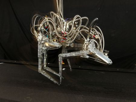 ચિત્તા કરતા પણ ફાસ્ટ દોડે છે આ રોબોટ