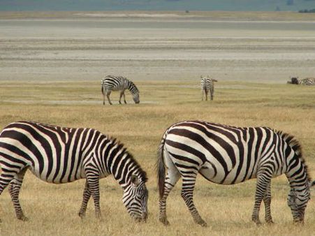 વિશ્વની 20 મોસ્ટ બ્યુટિફુલ વર્લ્ડ હેરિટેજ સાઇટ્સ