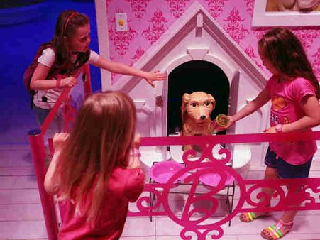 બાર્બીડોલની સપનાની દુનિયાની મસ્તી