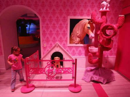 બાર્બીડોલની સપનાની દુનિયાની મસ્તી