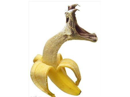 જૂઓ ફોટોશોપ એડિટિંગ ટૂલની કમાલ અને ધમાલ