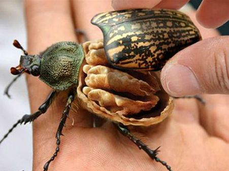 જૂઓ ફોટોશોપ એડિટિંગ ટૂલની કમાલ અને ધમાલ