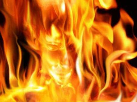 જૂઓ ફોટોશોપ એડિટિંગ ટૂલની કમાલ અને ધમાલ