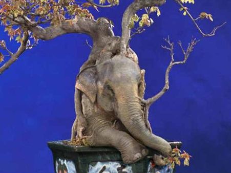 જૂઓ ફોટોશોપ એડિટિંગ ટૂલની કમાલ અને ધમાલ