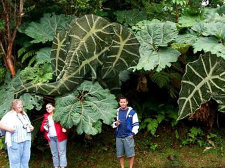 જૂઓ ફોટોશોપ એડિટિંગ ટૂલની કમાલ અને ધમાલ