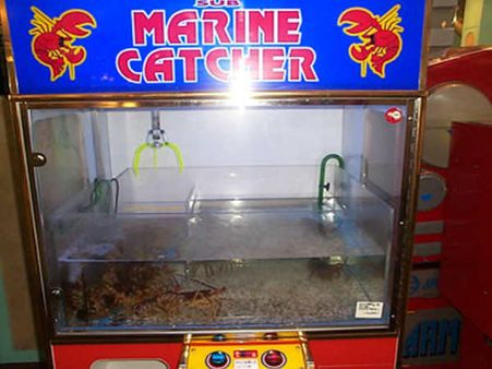 એટીએમની જેમ કામ કરતી 10 અનોખી વેન્ડિંગ મશીન એટીએમની જેમ કામ કરતી 10 અનોખી વેન્ડિંગ મશીન