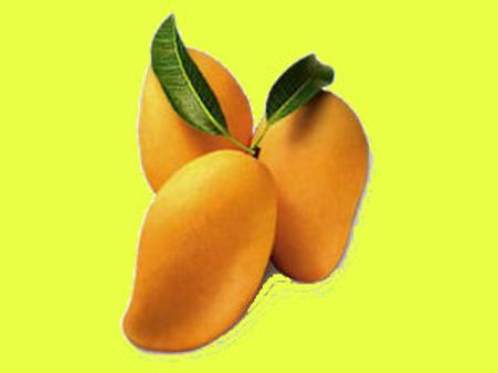 ગીરમાં 7 જૂનથી દેશનો સૌથી મોટો કેરી મહોત્સવ