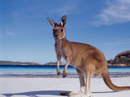 આ છે એ 15 દેશ જ્યાં ટ્વિટરનો વાગે છે ડંકો આ છે એ 15 દેશ જ્યાં ટ્વિટરનો વાગે છે ડંકો