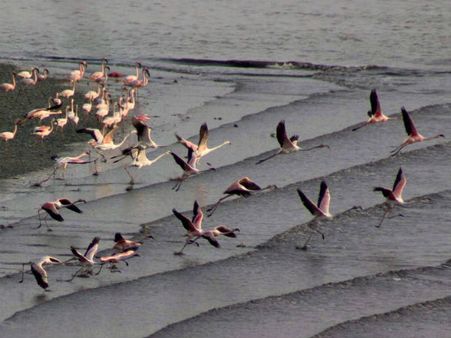 રવિના 'પ્રેમ'માં તપી ભૂમિ, દેશભરે સહી કાળઝાળ ગરમી