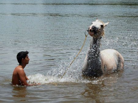 ગરમીમાં થોડીક ટાઢક