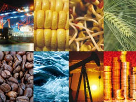 સાંજે પણ કોમોડિટી એક્સચેન્જને મંજૂરી આપાવાની શક્યતા