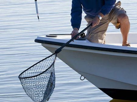 જાનવર પકડવું