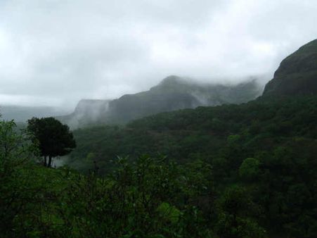 ભારતમાં ચોમાસાના વિવિધ રંગો