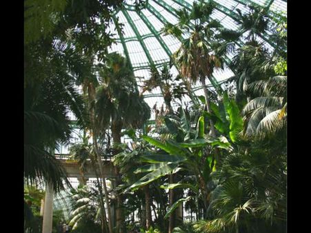 કાચના બોલની અંદર, અમેજનનું નવું હેડક્વાર્ટર