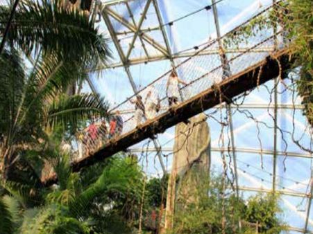 કાચના બોલની અંદર, અમેજનનું નવું હેડક્વાર્ટર