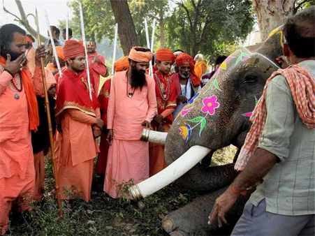  હાથી અંગેની રસપ્રદ વાતો