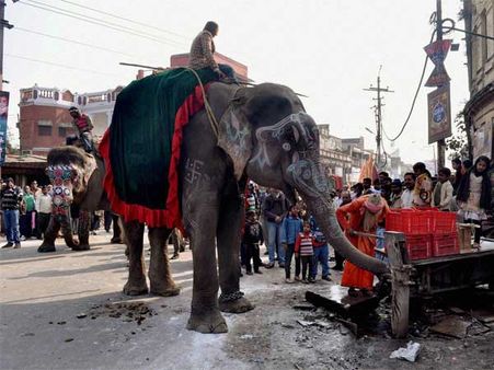  હાથી અંગેની રસપ્રદ વાતો