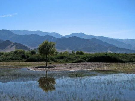 મનને મોહી લે તેવી એક સુંદરતાનો રાજા લેહ