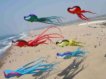 જાપાન કાઇટ ફેક્સિટવલ : વિશ્વના બધા જ ધ્વજ એક પંતંગમાં!!!