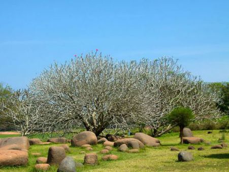 નિહાળો સુંદર અને રમણિય પોન્ડેચરીનો નજારો