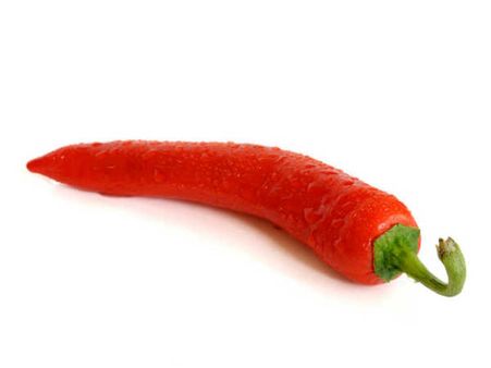 જાણો : બૂકીઓએ ભારતીય ક્રિકેટર્સને કેવી રમૂજી કોડ નેમ આપ્યા