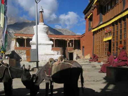 શ્રેષ્ઠ હિમાલયથી ઘેરાયલું સ્થળ કારગિલ શ્રેષ્ઠ હિમાલયથી ઘેરાયલું સ્થળ કારગિલ