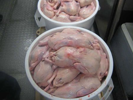 Photo : અજાયબી છે વિશ્વની સૌથી મોટી ક્રુઝ શિપ અલુરે ઓફ ધ સીસ