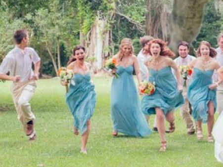 ને અચાનક લગ્નમાં આવી પહોંચ્યો ડાયનાસોર