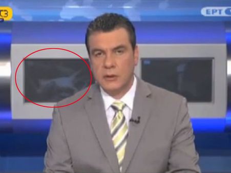 એન્કર વાંચતો રહ્યો ન્યૂઝ અને બૂલેટિનમાં ચાલવા લાગી પોર્ન ફિલ્મ!