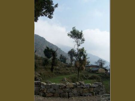 હિમાચલની શીતળ રાજધાની તરીકે પ્રચલિત ધર્મશાળા