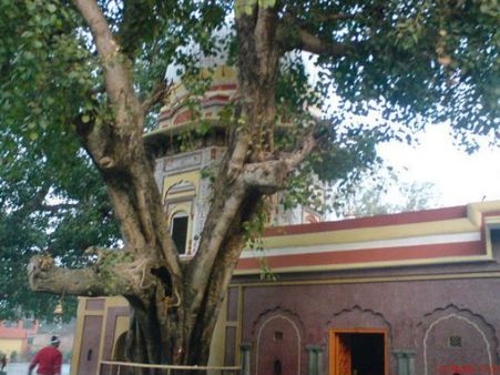 હિમાચલની શીતળ રાજધાની તરીકે પ્રચલિત ધર્મશાળા