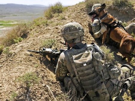 અફઘાનિસ્તાનમાં સેનાના હાથે 57 આતંકવાદીઓ ઠાર