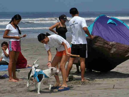 પુરુષોને આકર્ષતા બીચ અને બેબ્સવાળા વિશ્વના બેસ્ટ શહેરો