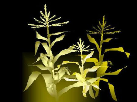 સુંદર પેઇન્ટિંગ