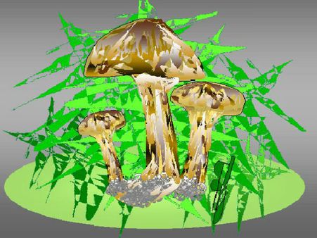 ટાટસો હાઇરૂચની પેઇન્ટિંગ