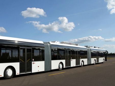 પહેલીવાર વિશ્વ સમક્ષ રજૂ કરાઇ